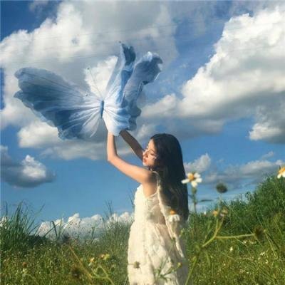 太阳花
