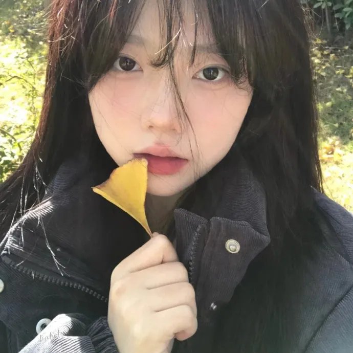 青鸟